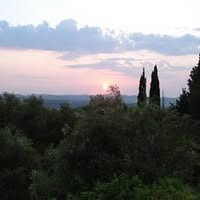 450904266_7806588042727952_1729382623848453731_n