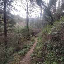 461318783_10226090769803801_1635949228006991598_n